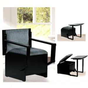 Spacecrafts Multifunctional Bichair | Sofa Cum Study Desk with Storage