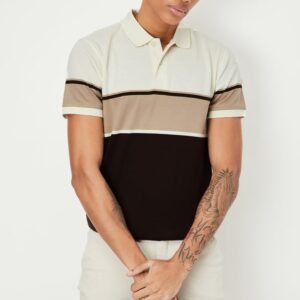 Men Slim Fit Striped Polo T-shirt