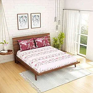 Cotton King Size Double Bedsheet with 2 Pillow Covers