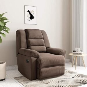Amazon Brand – Solimo Musca 1 Seater Fabric Recliner
