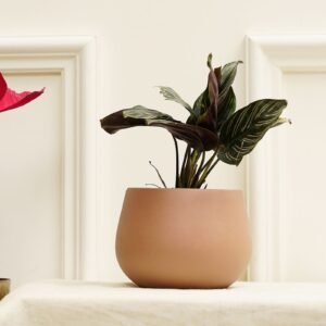 Mesa Rose Gold Terracotta Desk Pot,