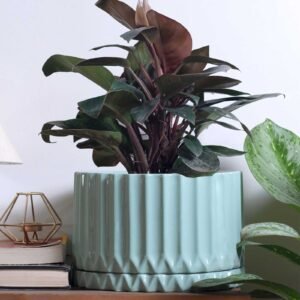 Fleeting Bliss Blue Ceramic Floor Planters,