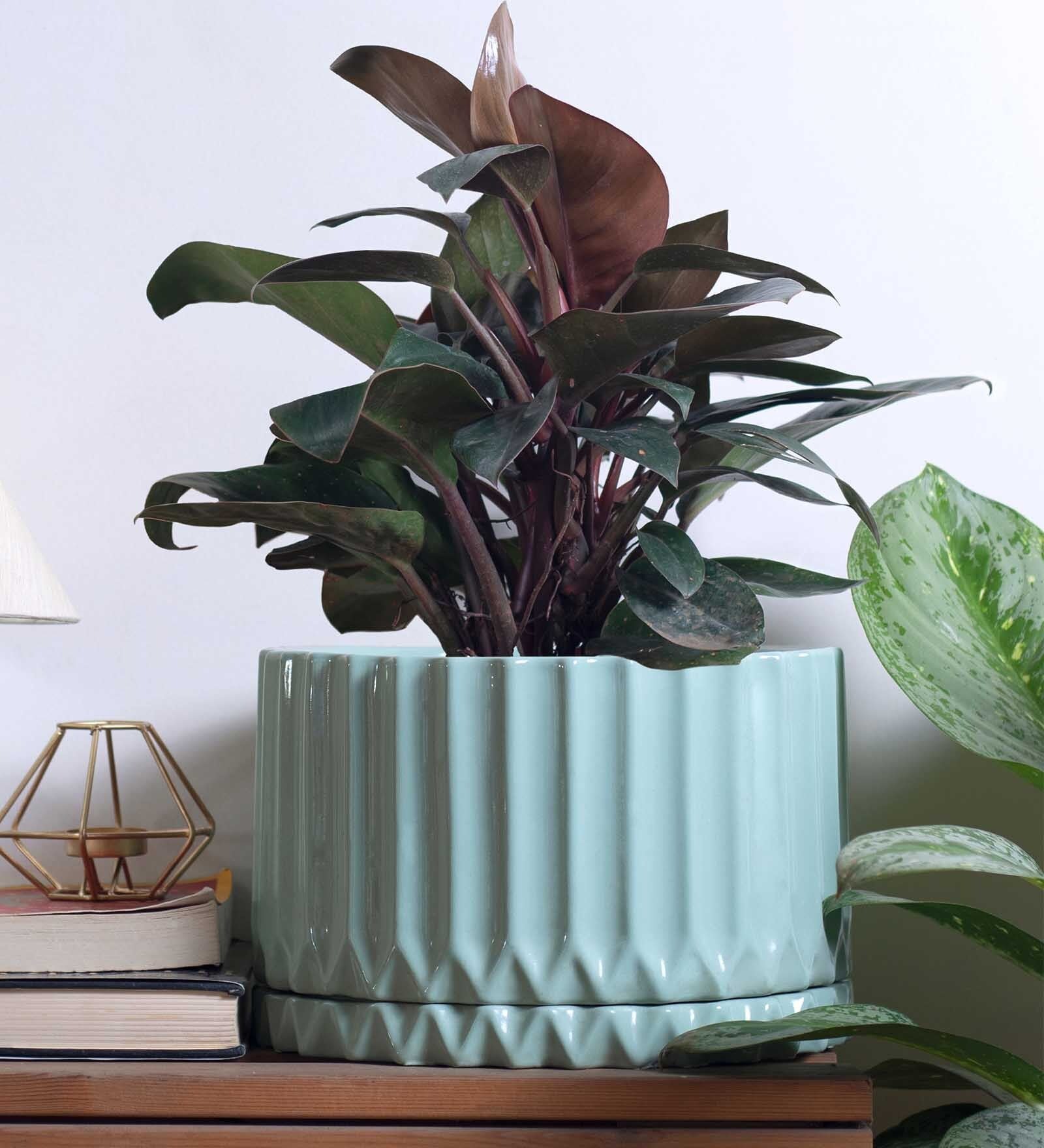 Fleeting Bliss Blue Ceramic Floor Planters,
