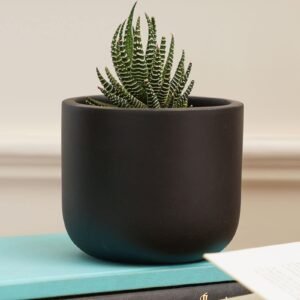 Purezento Jeanie Black Terracotta Desk Pot,