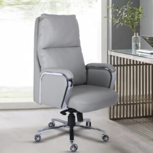 Polar Leatherette Executive Chair in Grey Colour